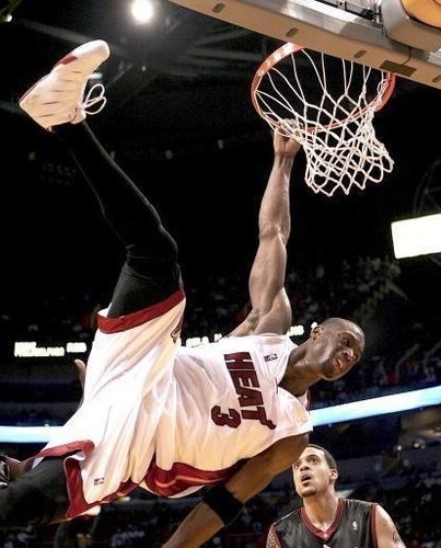 与第一只先 与第一只先